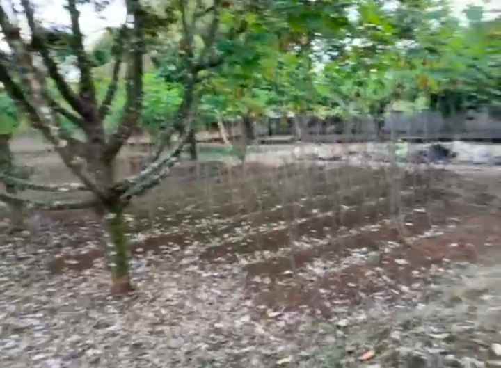 dijual tanah dijual tanah di cimanggu 2