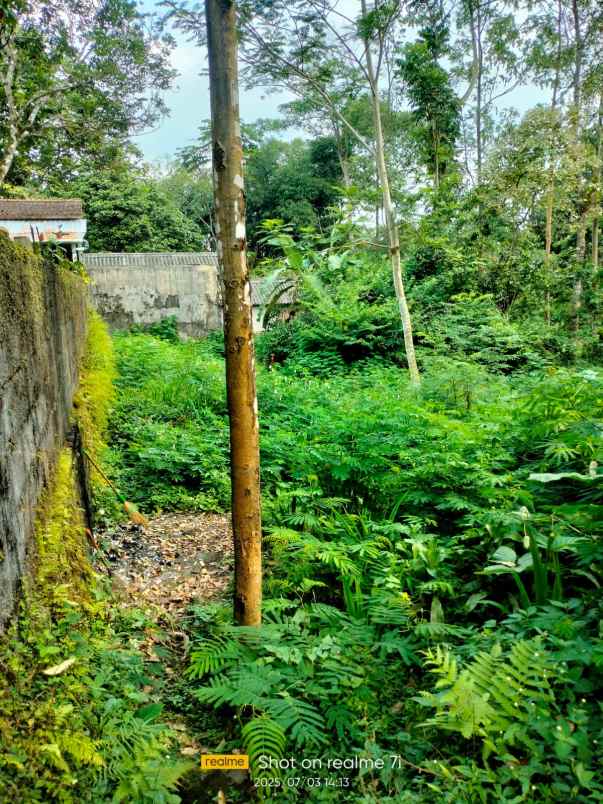 dijual tanah dijual tanah di kaliurang