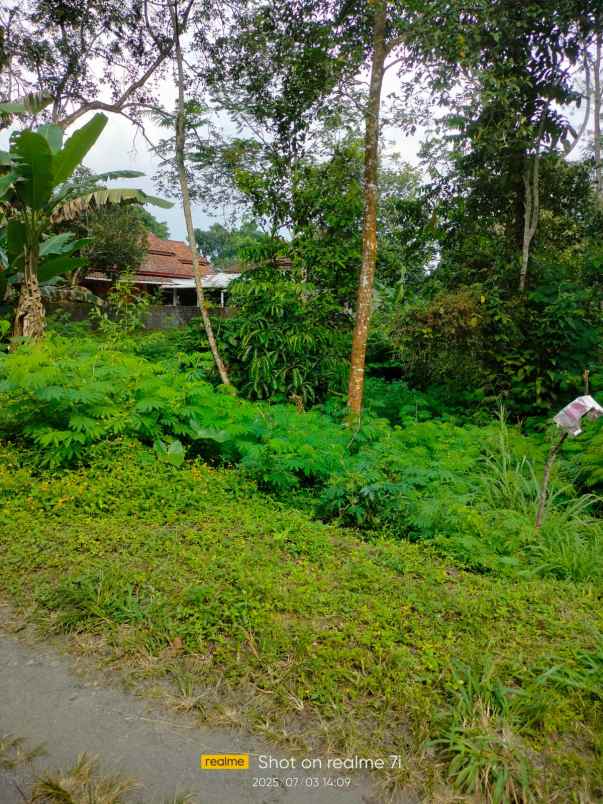 dijual tanah dijual tanah di kaliurang