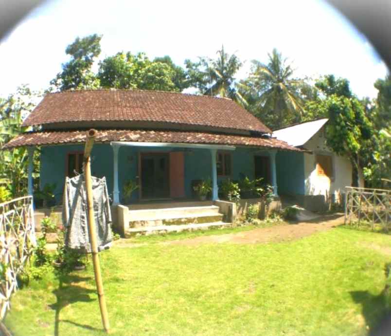 dijual tanah dusun jatis desa butun