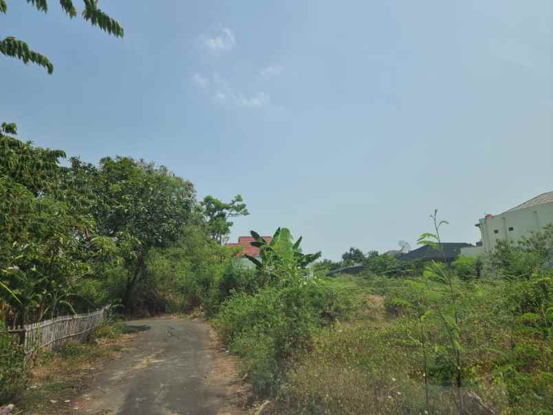 dijual tanah griya intan