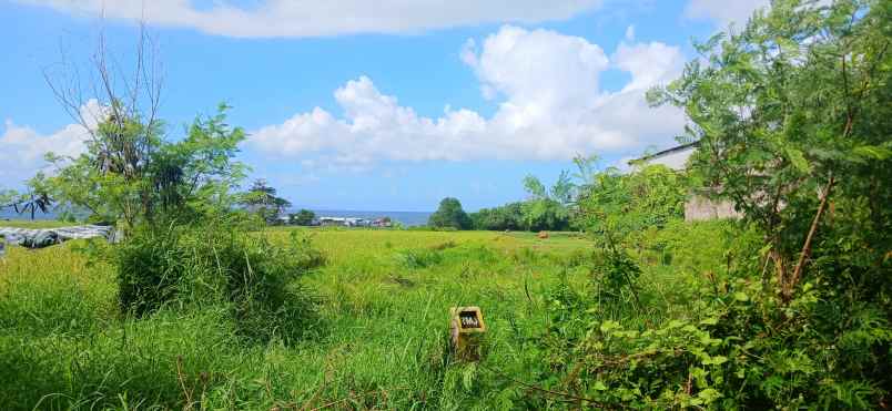 dijual tanah jalan ida bagus mantra
