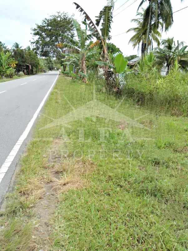 dijual tanah jalan mempawah