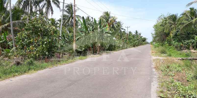 dijual tanah jalan mempawah