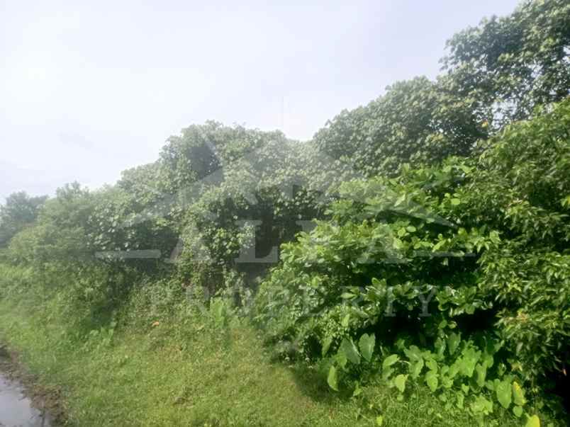 dijual tanah jalan perdana