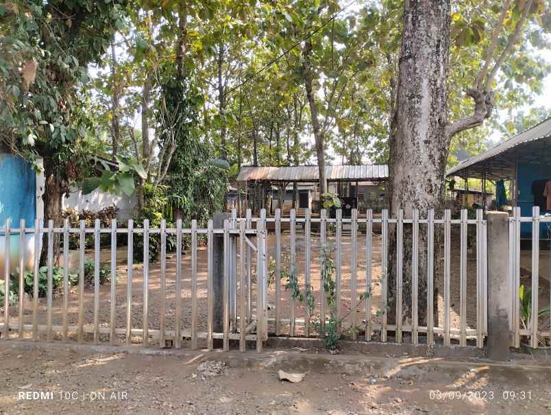 dijual tanah jalan raya pabuaran cikeas