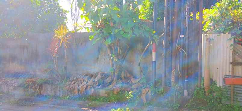 dijual tanah jalan sekar sari denpasar bali