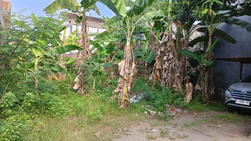 dijual tanah jalan zebra