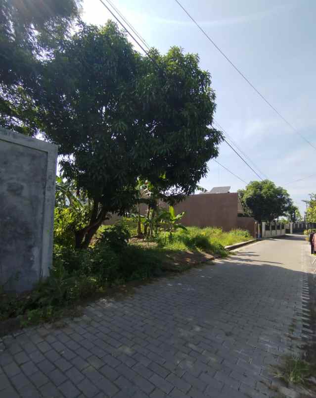 dijual tanah jambon