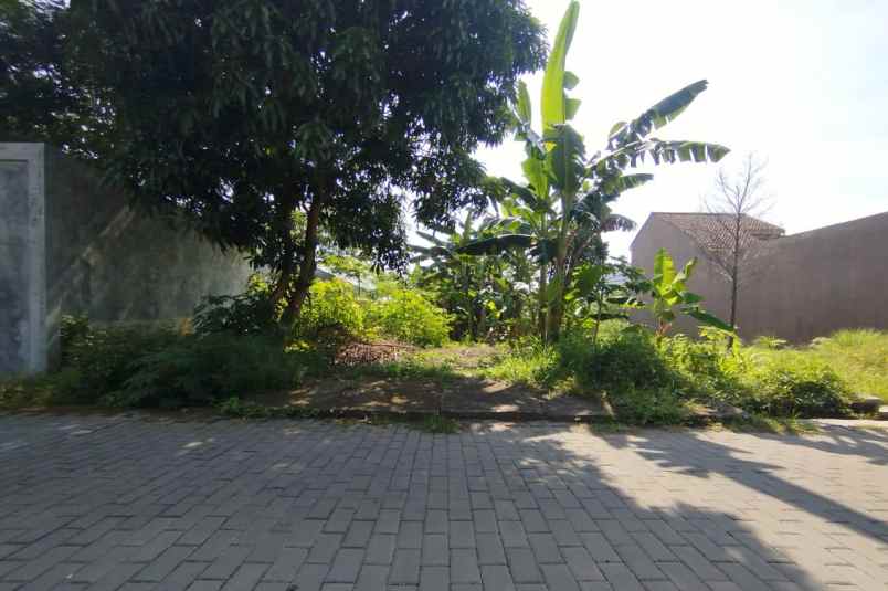 dijual tanah jambon