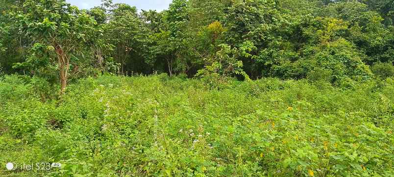 dijual tanah jl amd simpang bagan 1