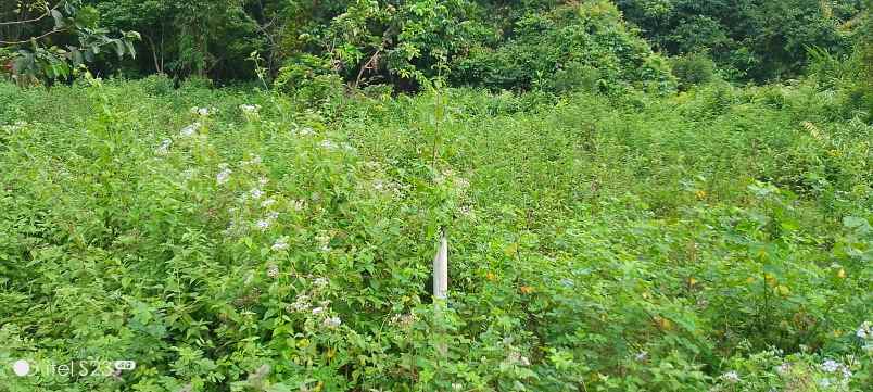 dijual tanah jl amd simpang bagan 1