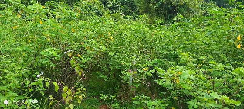 dijual tanah jl amd simpang bagan 1