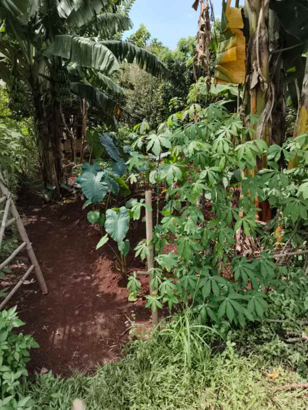 dijual tanah jl karadenan