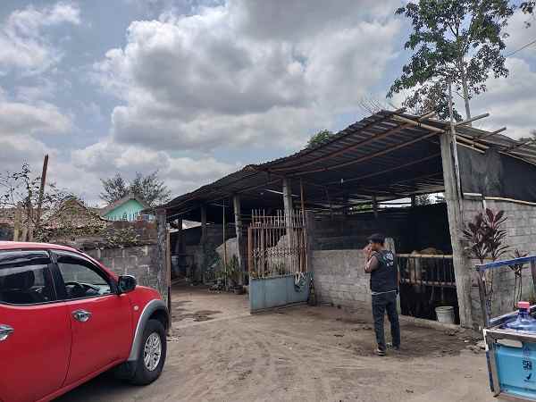 dijual tanah jl pacar ngentak lor