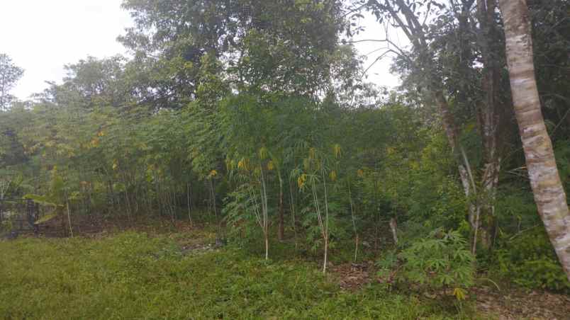 dijual tanah jl sekayu pendopo kampung