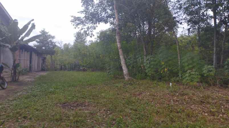 dijual tanah jl sekayu pendopo kampung