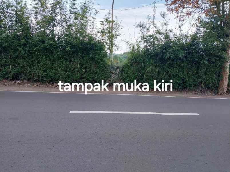 dijual tanah jl simpang cibuntu