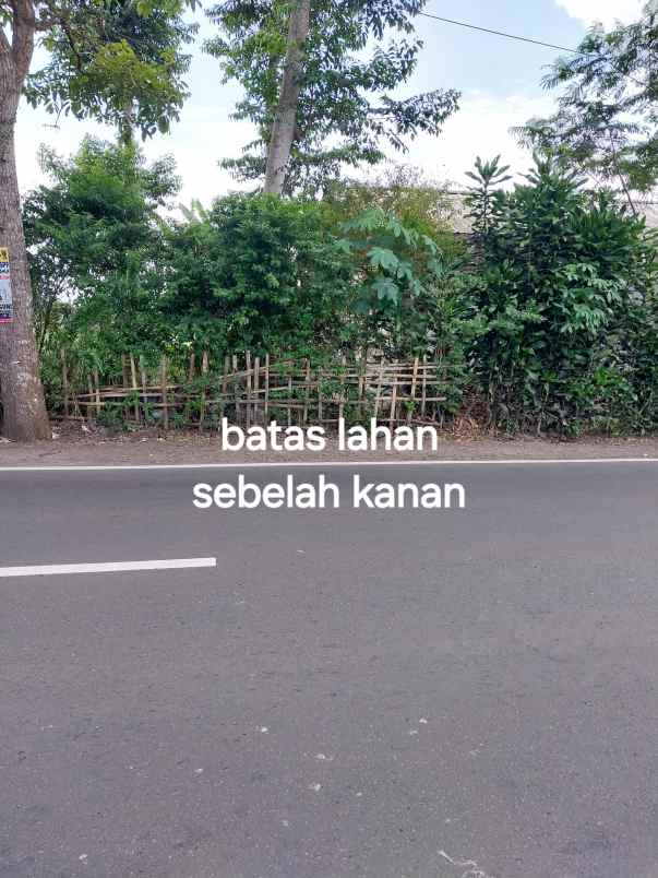 dijual tanah jl simpang cibuntu