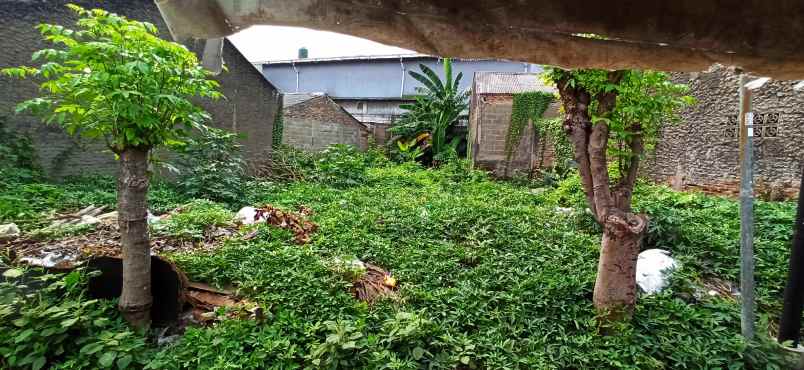 dijual tanah jln iskandar muda gang utama i