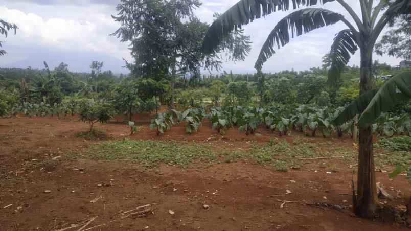 dijual tanah kavling shm sentul city deket aeon