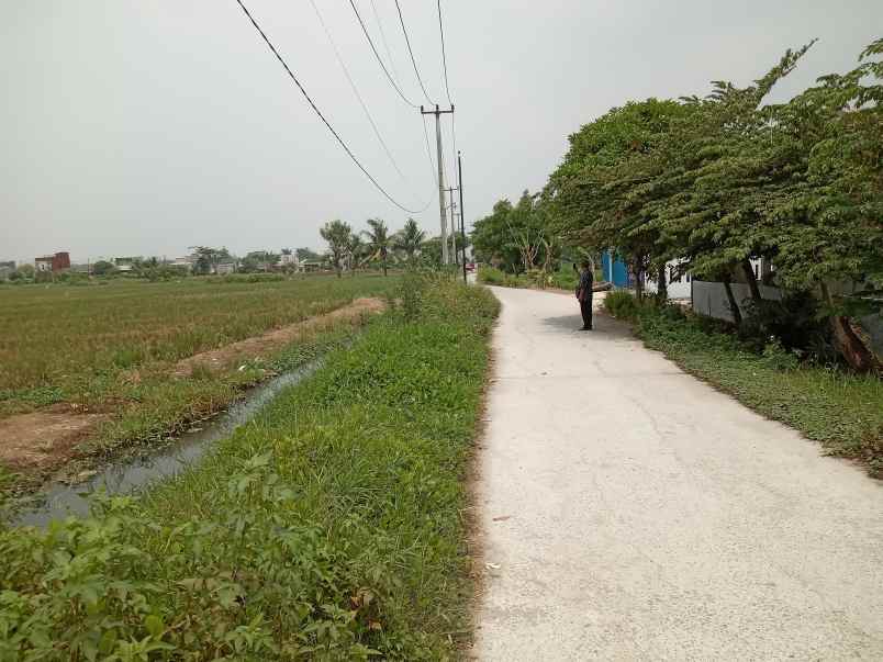 dijual tanah kedung pengawas babelan