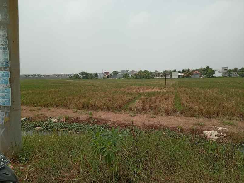 dijual tanah kedung pengawas babelan