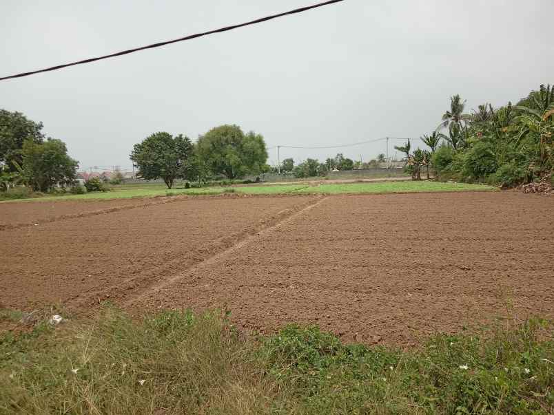 dijual tanah kedung pengawas babelan bekasi