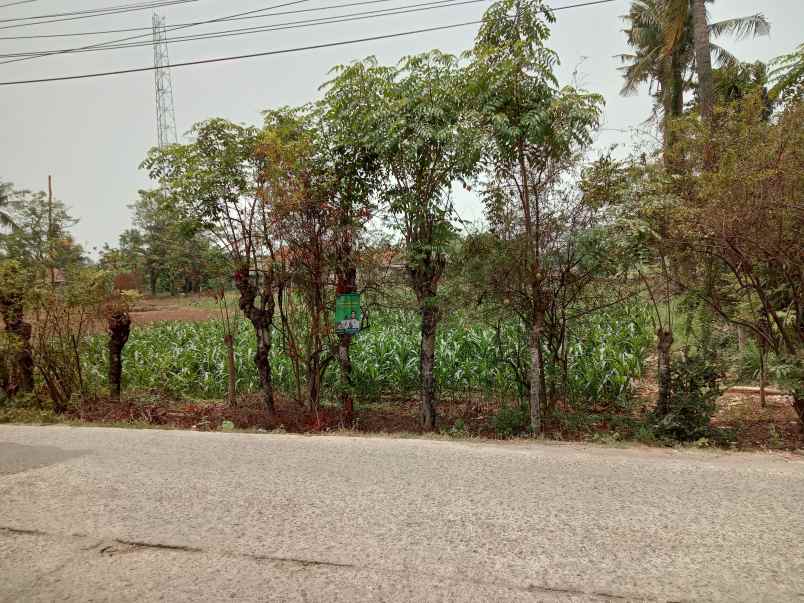 dijual tanah kedung pengawas babelan bekasi