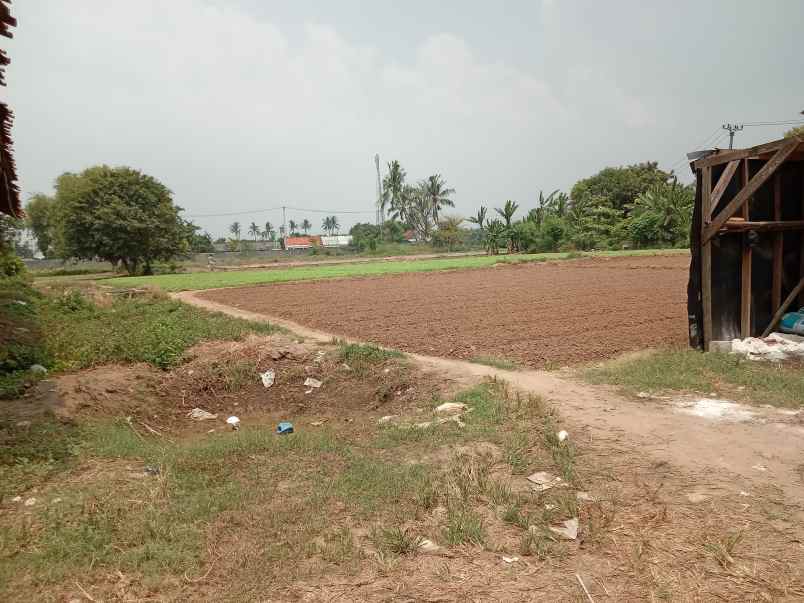 dijual tanah kedung pengawas babelan bekasi