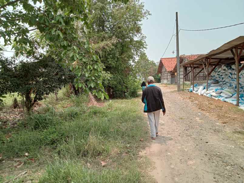 dijual tanah kedung pengawas babelan bekasi