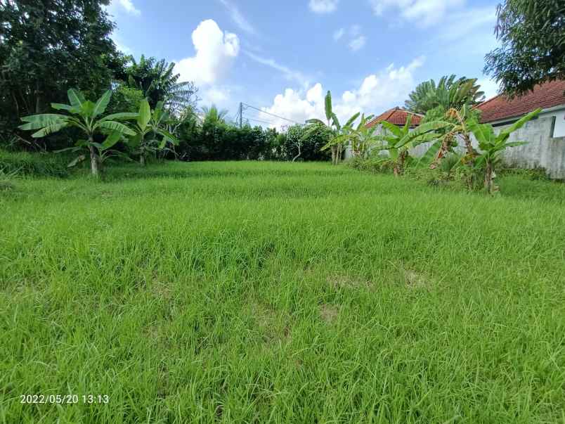 dijual tanah kedungu tabanan bali