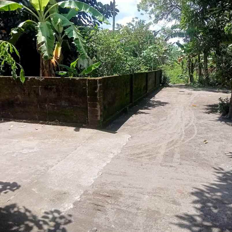 dijual tanah kopi gamol