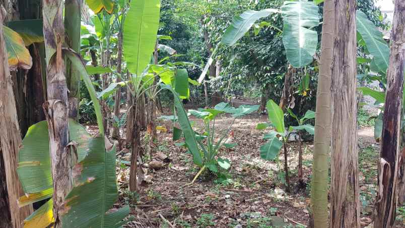 dijual tanah kosong jatisampurna cibubur
