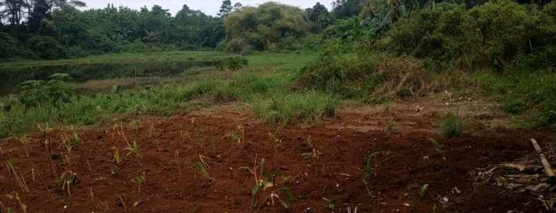 dijual tanah kp kapugur jl raya cikeas