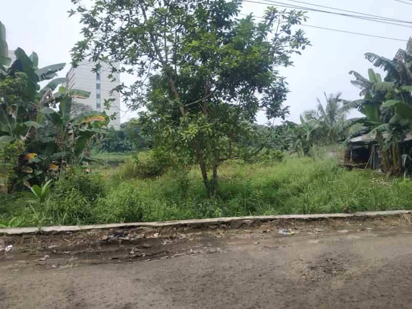 dijual tanah kp kapugur jl raya cikeas