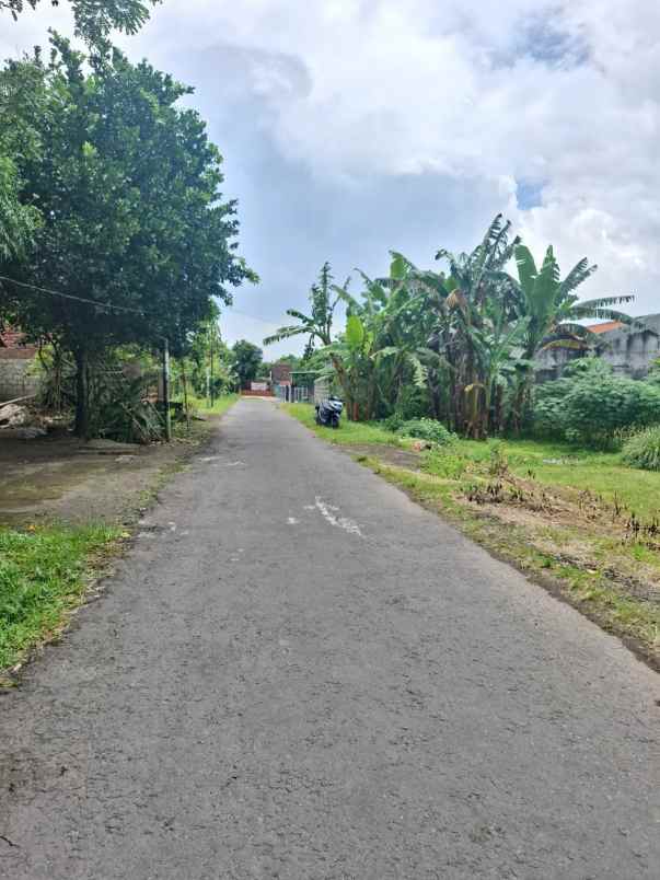 dijual tanah lava bantal