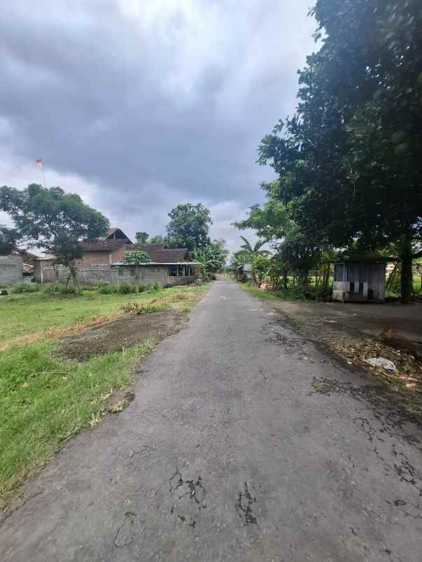 dijual tanah lava bantal