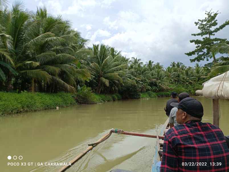 dijual tanah padang cermin pesawaran