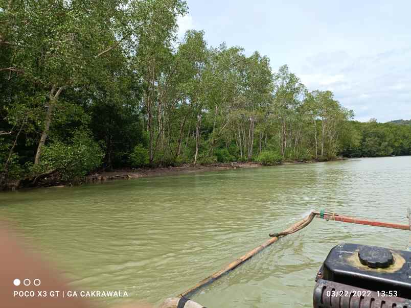 dijual tanah padang cermin pesawaran