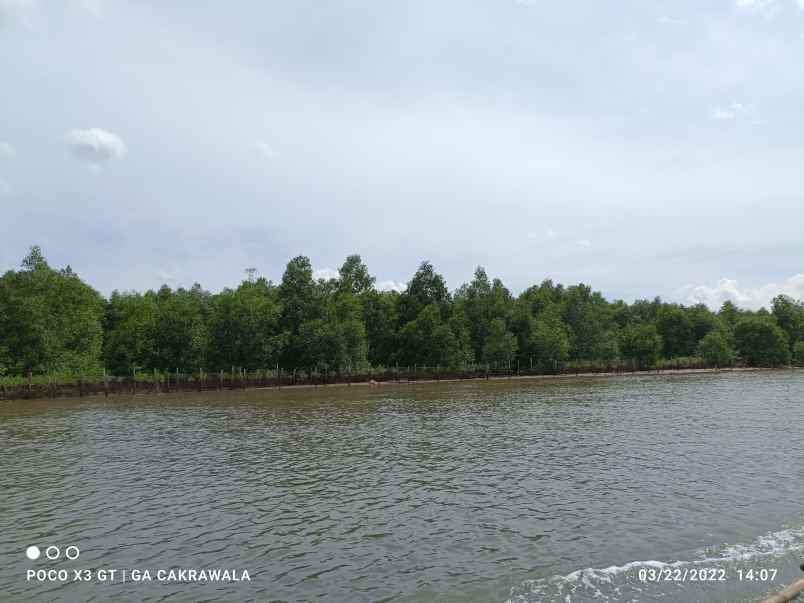 dijual tanah padang cermin pesawaran