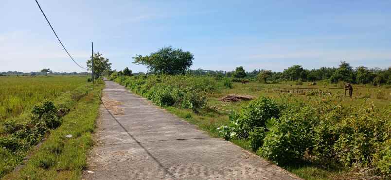 dijual tanah pengambengan negara