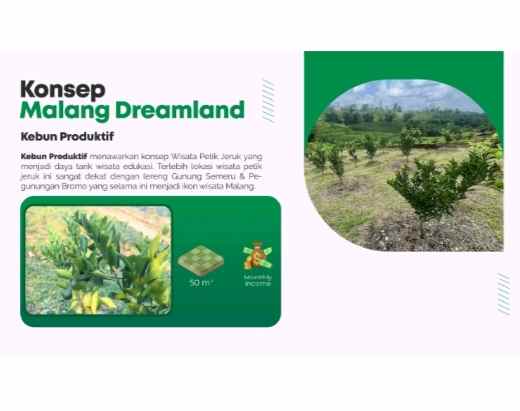 dijual tanah poncokusumo malang jawa timur