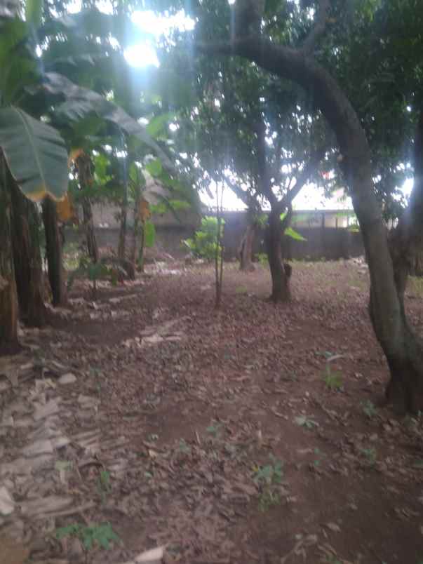 dijual tanah pondok kopi duren sawit