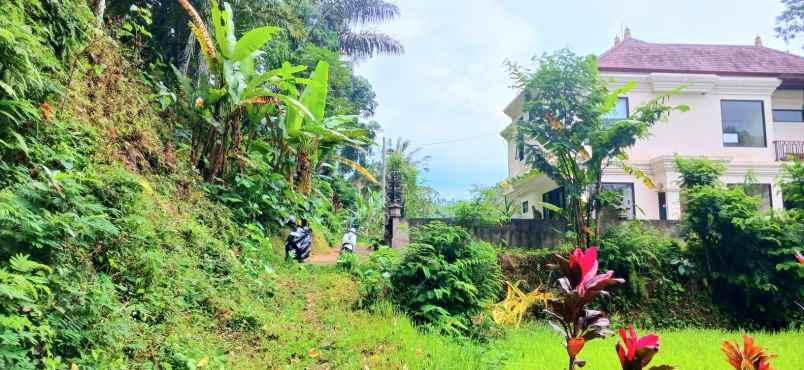 dijual tanah pupuan telallalang gianyar