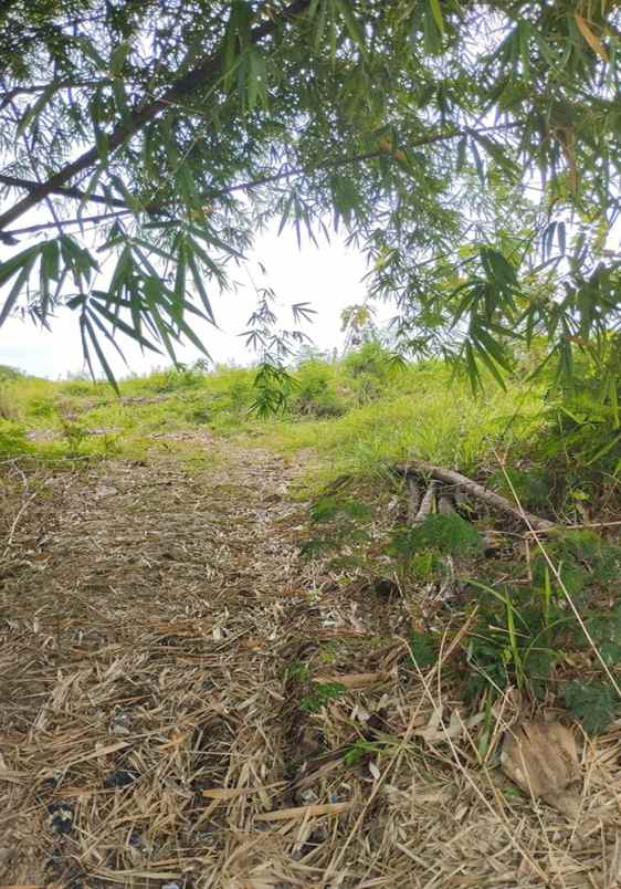 dijual tanah raya jatiwangi majalengka