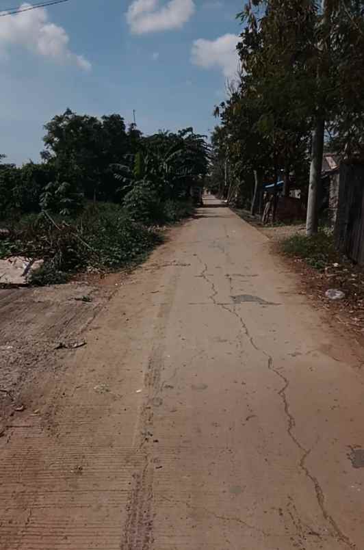 dijual tanah sawah di kedung pengawas babelan bekasi