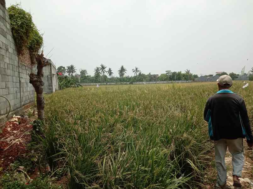 dijual tanah sawah di kedung pengawas babelan bekasi