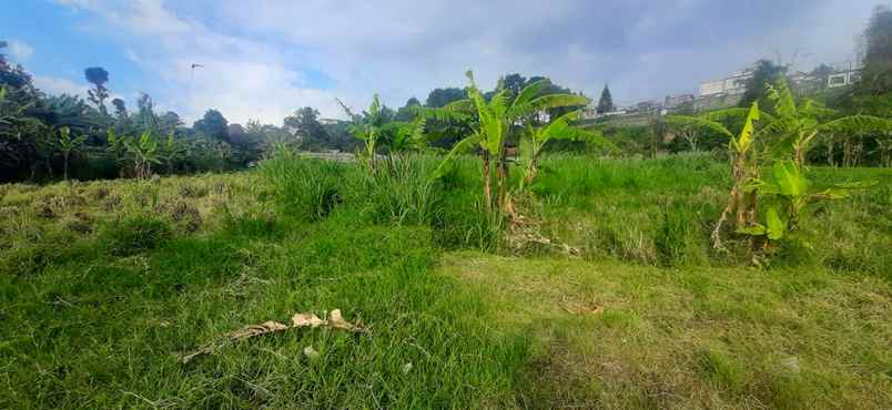 dijual tanah sersan bajuri