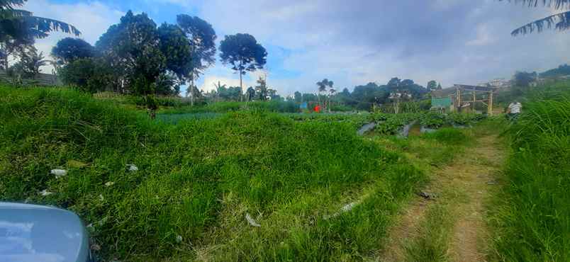 dijual tanah sersan bajuri